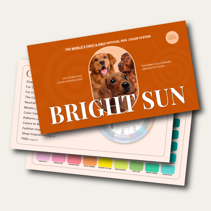 Bright Sun Color Guide